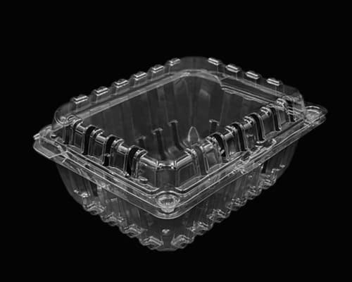 Clamshell Container-snap bar clamshell