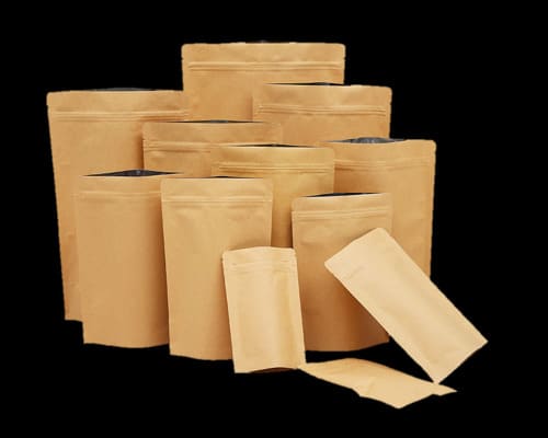 Standard Kraft Paper Bag